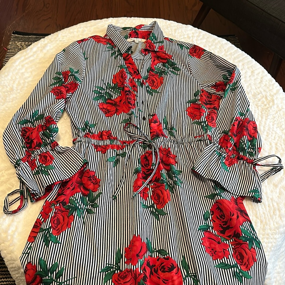Indulged in Style dress